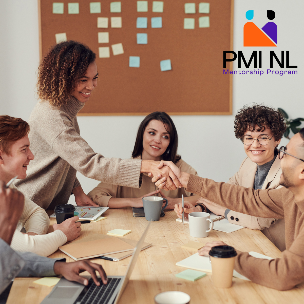 PMI-NL.png